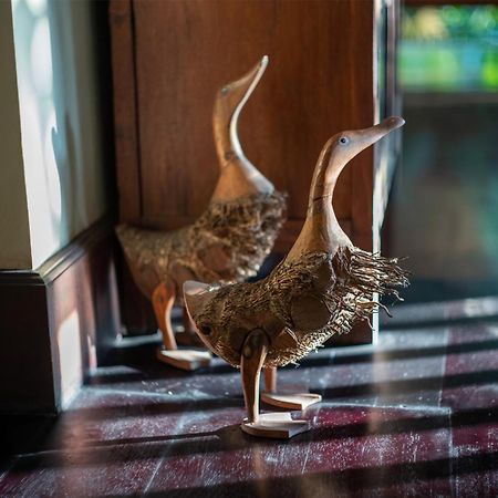 Villa Alamanda أوبود المظهر الخارجي الصورة
