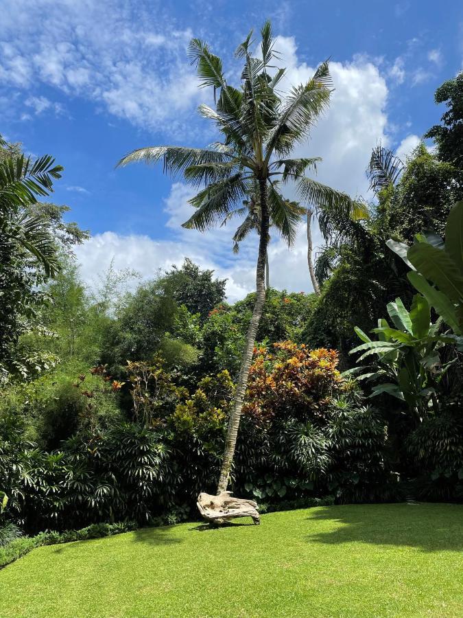 Villa Alamanda أوبود المظهر الخارجي الصورة